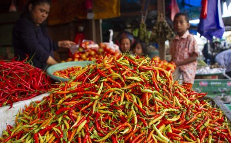 Hari Keempat Ramadhan, Harga Cabai Rawit Merah Tembus Rp88.462 per Kg